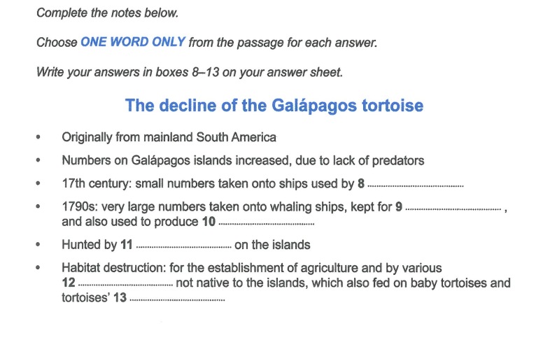 flying tortoises ielts reading answers